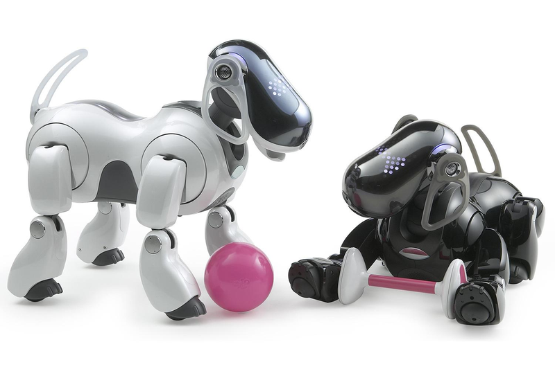 What a dog looks like in Warframe, probably